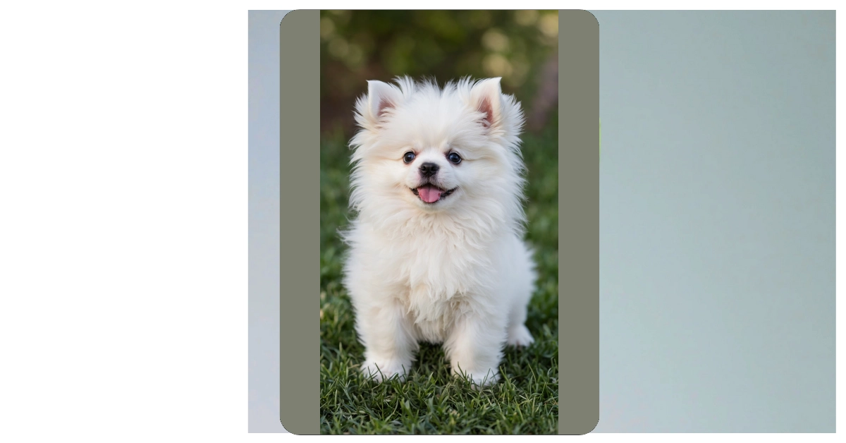 Adorable Puppy Wallpaper Ideas to Brighten Your Screens